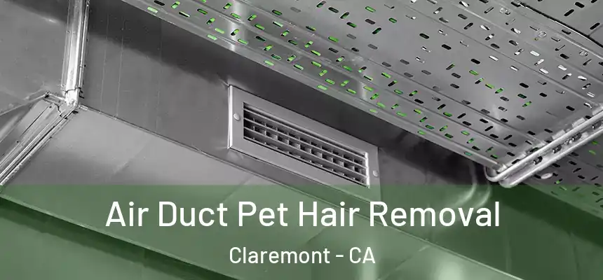  Air Duct Pet Hair Removal Claremont - CA