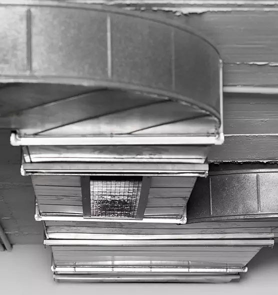 Professional Air Duct Pet Hair Removal in Claremont, CA