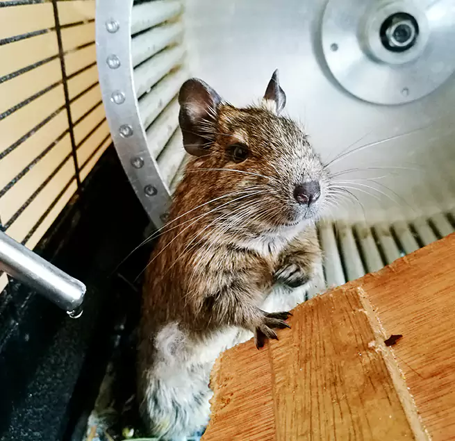 Why Homeowners & Businesses Trust Us Claremont, CA?