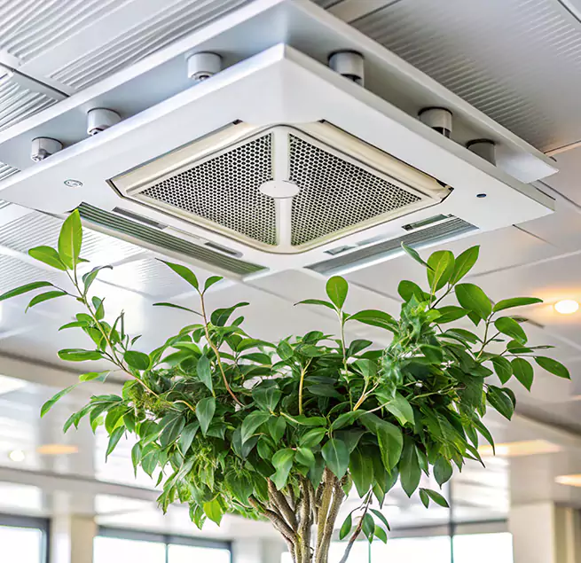 Why Homeowners & Businesses Trust Us in Claremont, CA?